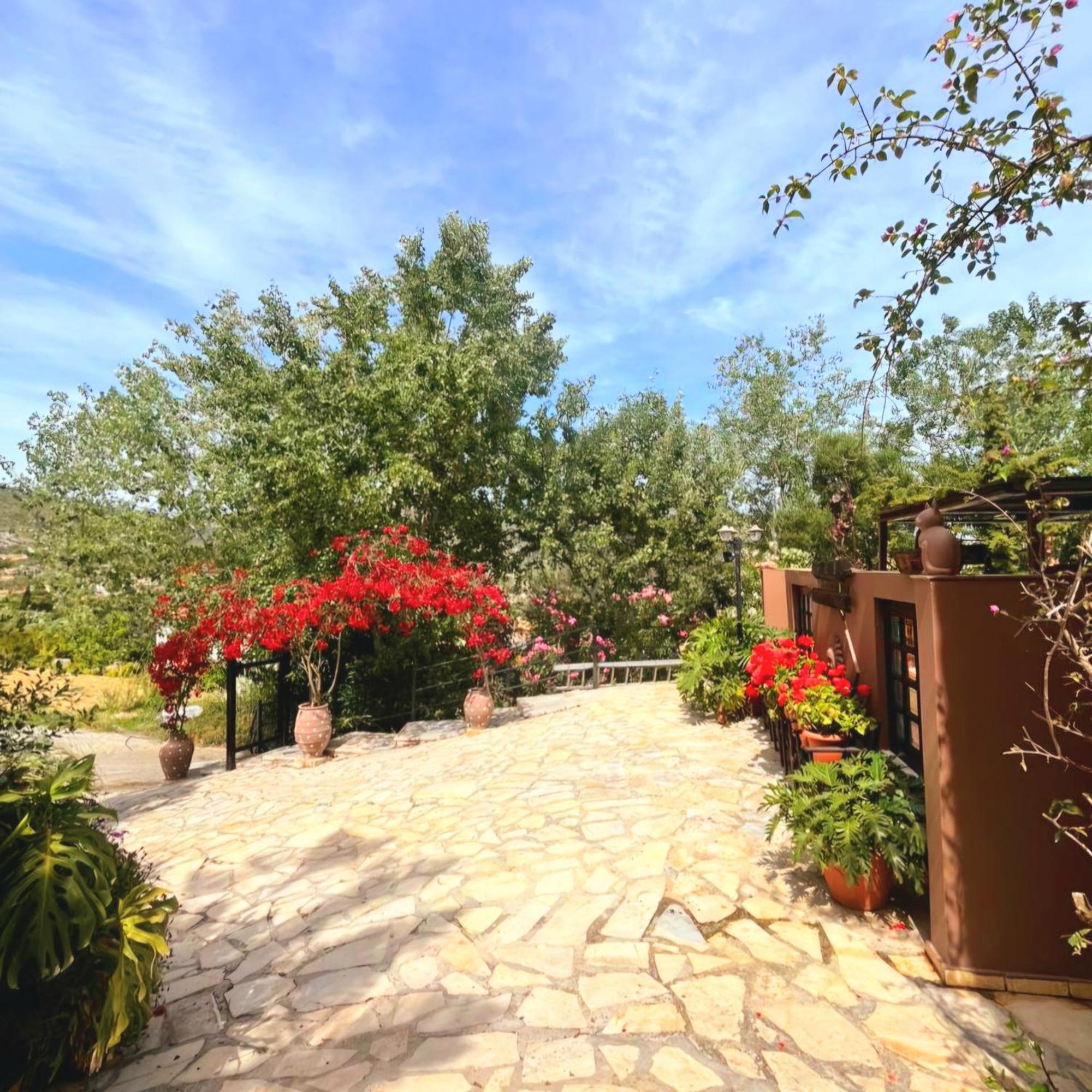 Okeanis Apartments & Suites Adults Only Katelios Exterior foto
